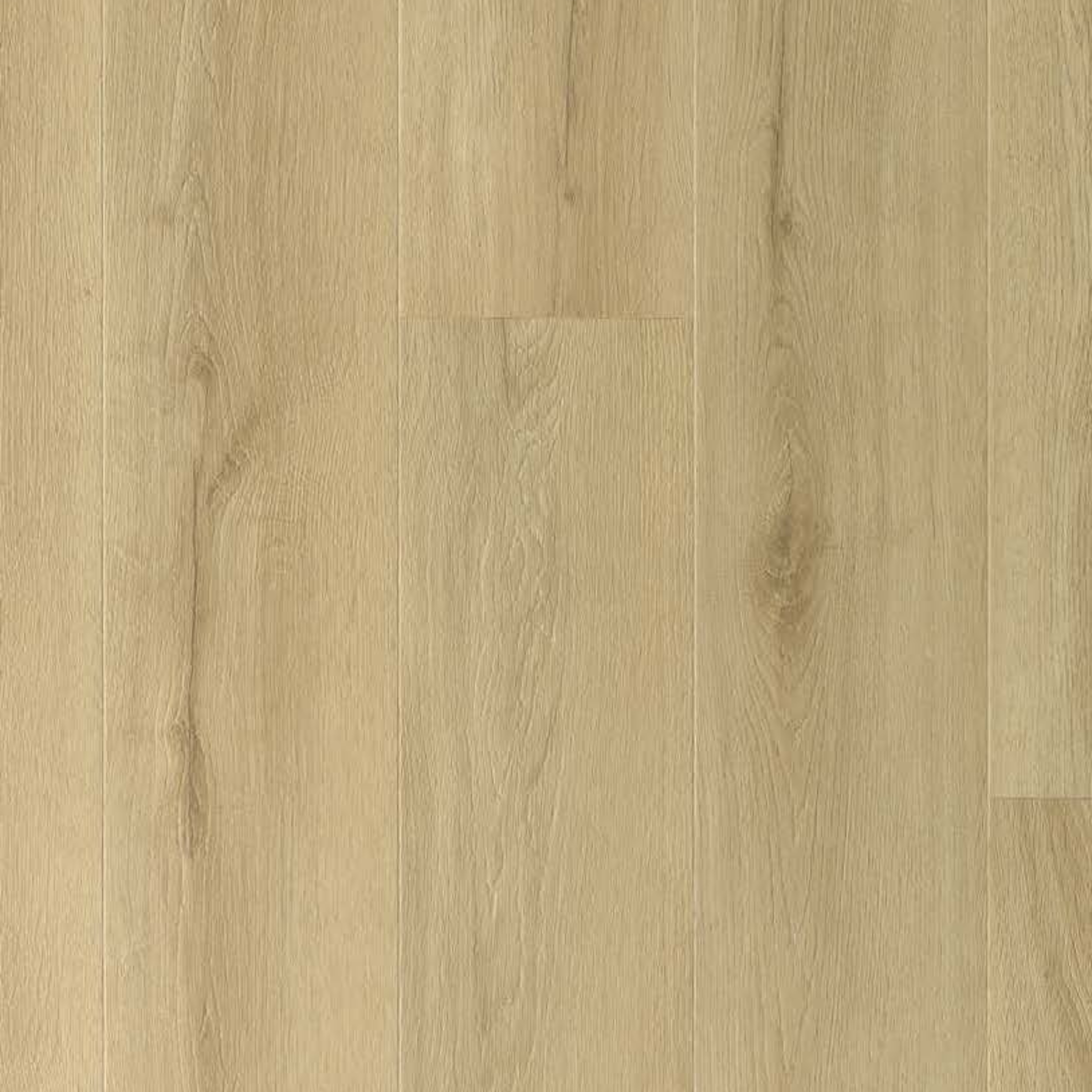 Prince Oak SPC gallery image
