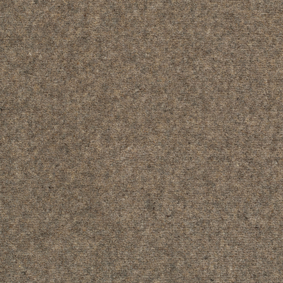 Pure & Simple Plain