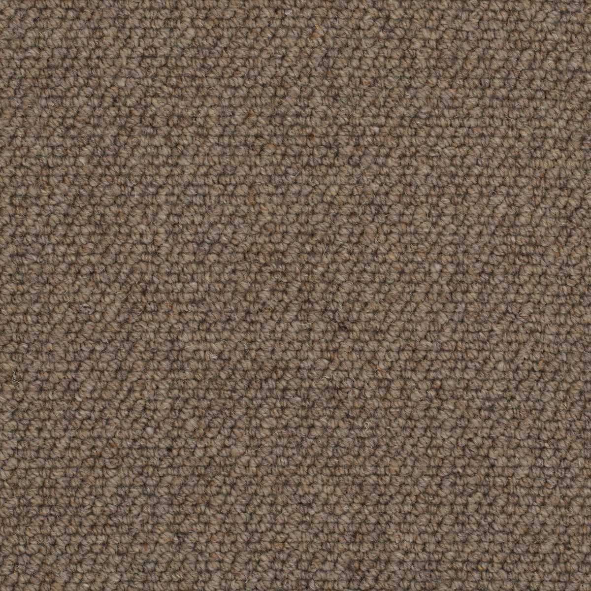Pure & Simple Loop