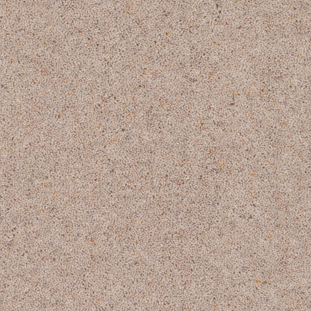 Strathmore Berber