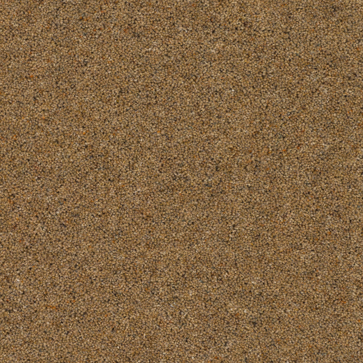 Strathmore Berber