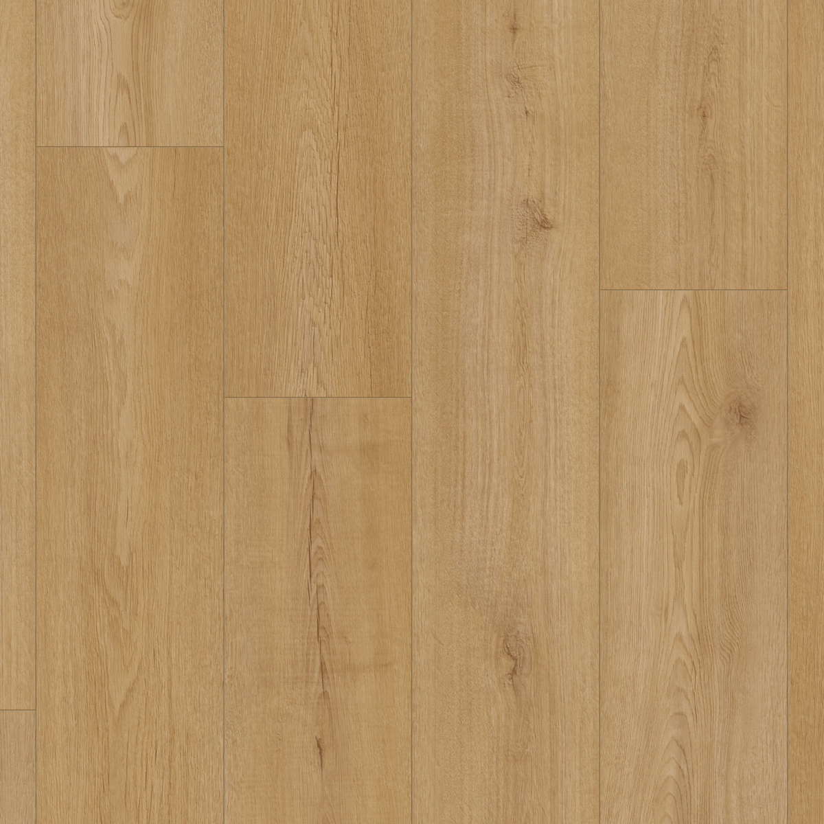 Taupe Heritage Oak SPC gallery image