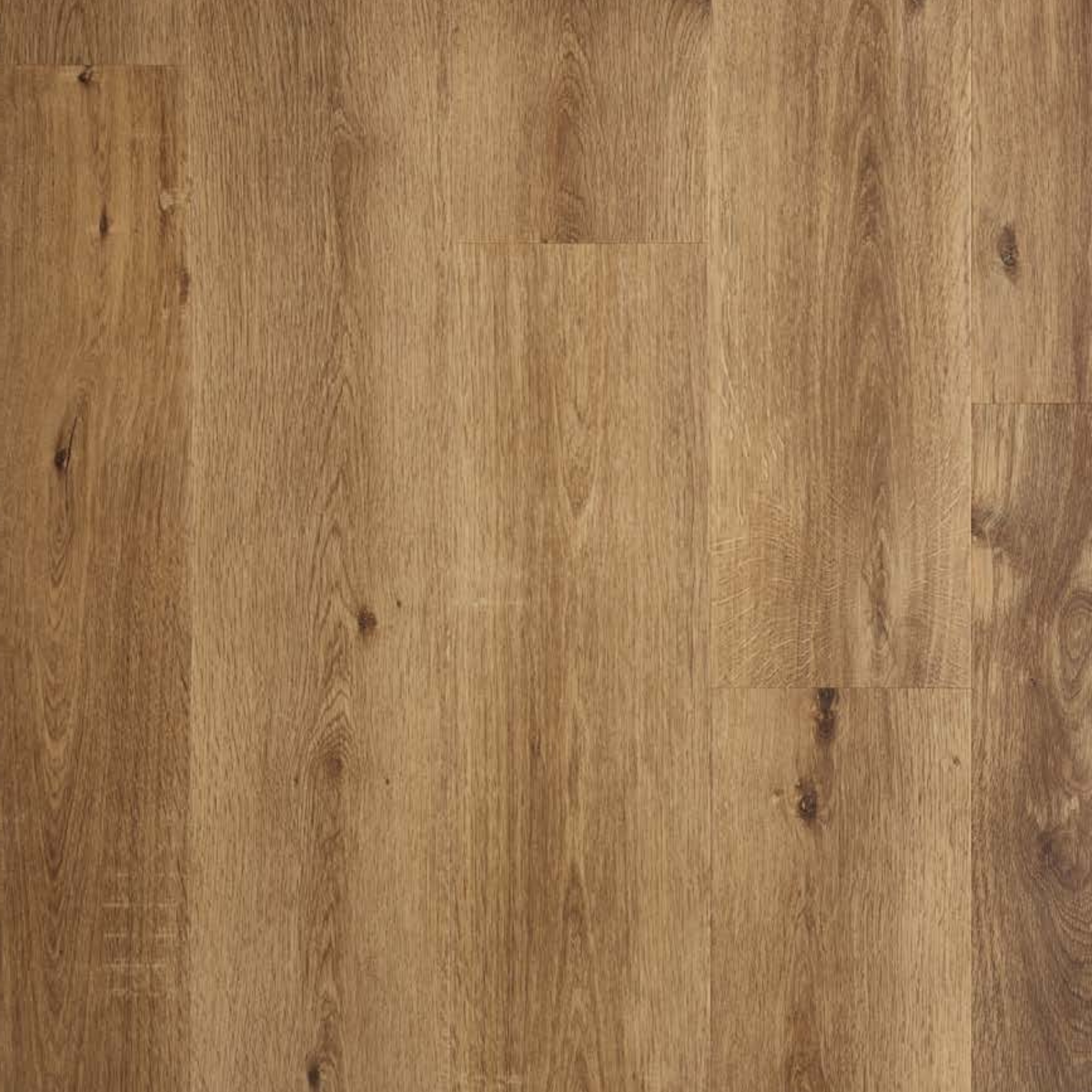 Town Oak SPC gallery image