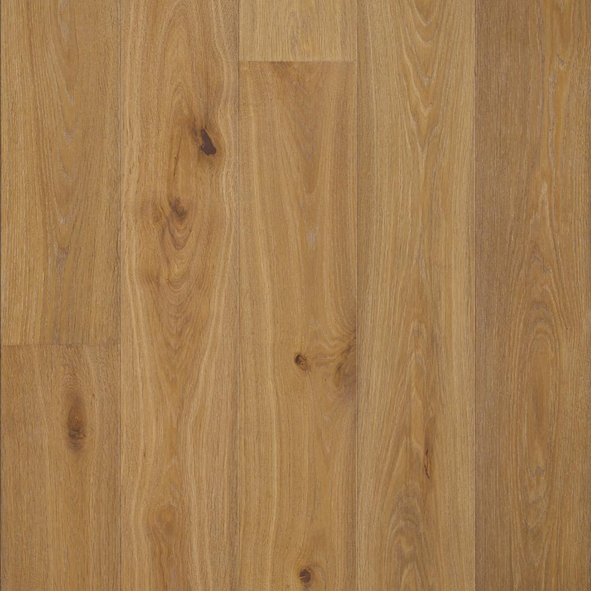 Vista Original Coast Plank 14mm gallery image
