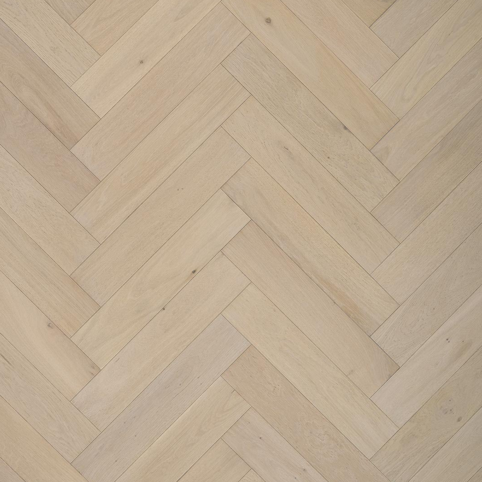 Vista Original Shell Herringbone 14mm gallery image