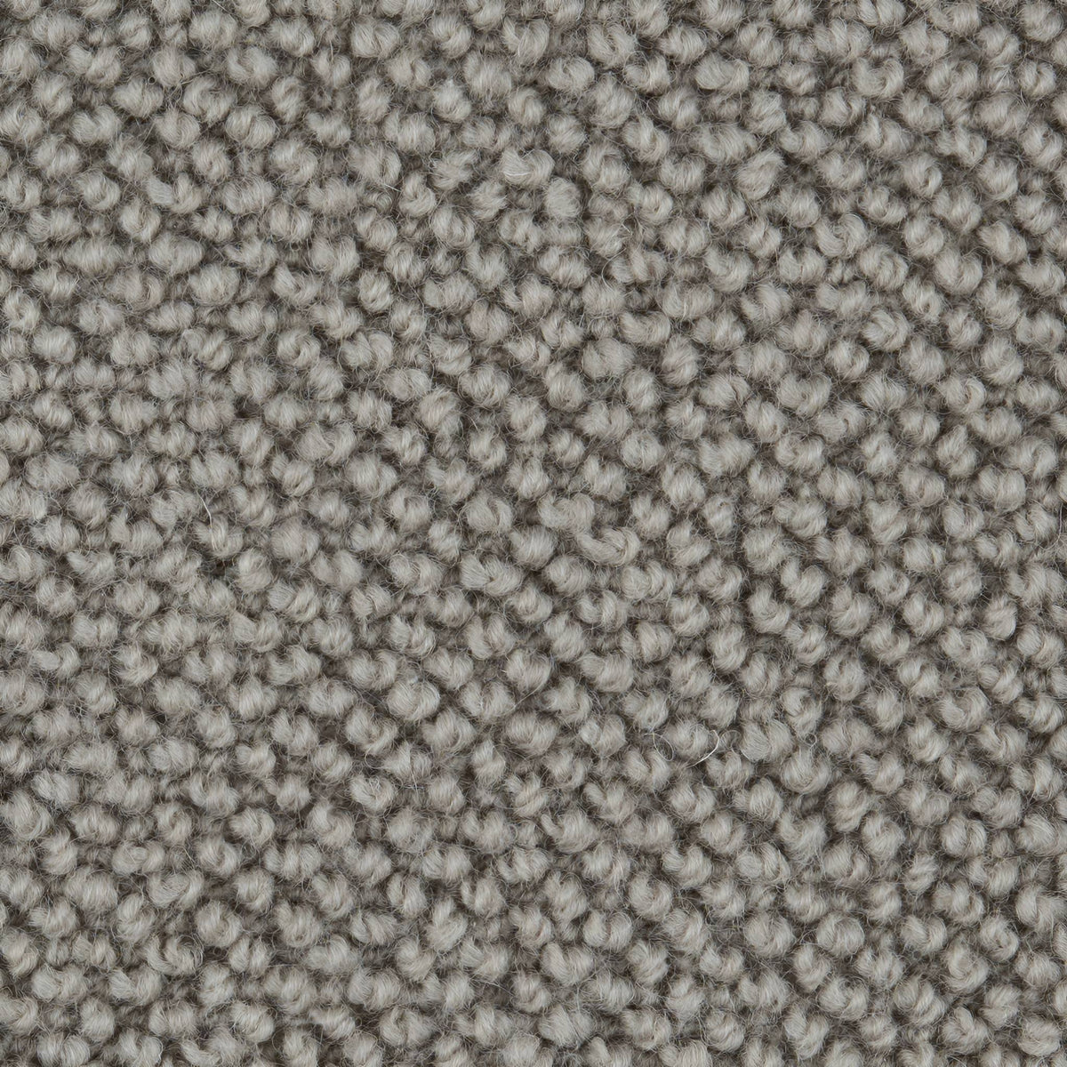 Wool Maldives