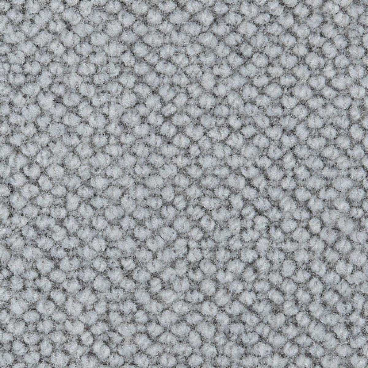 Wool Maldives