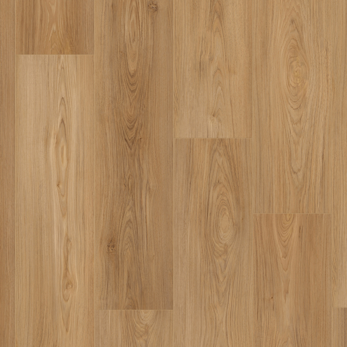 Walnut Harvest Oak SPC gallery image
