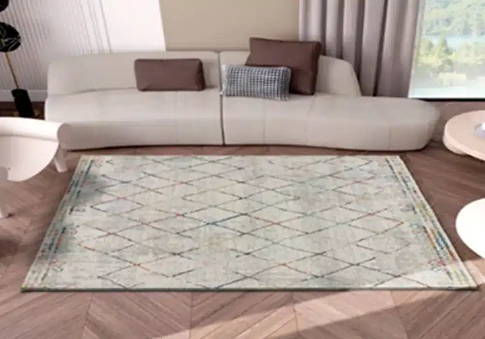 rug in living room